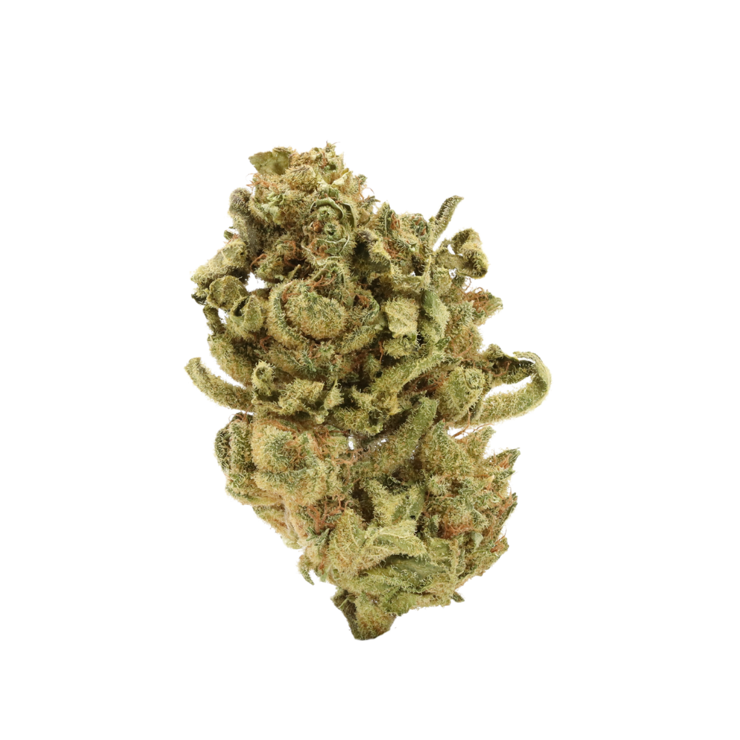 0007 bud