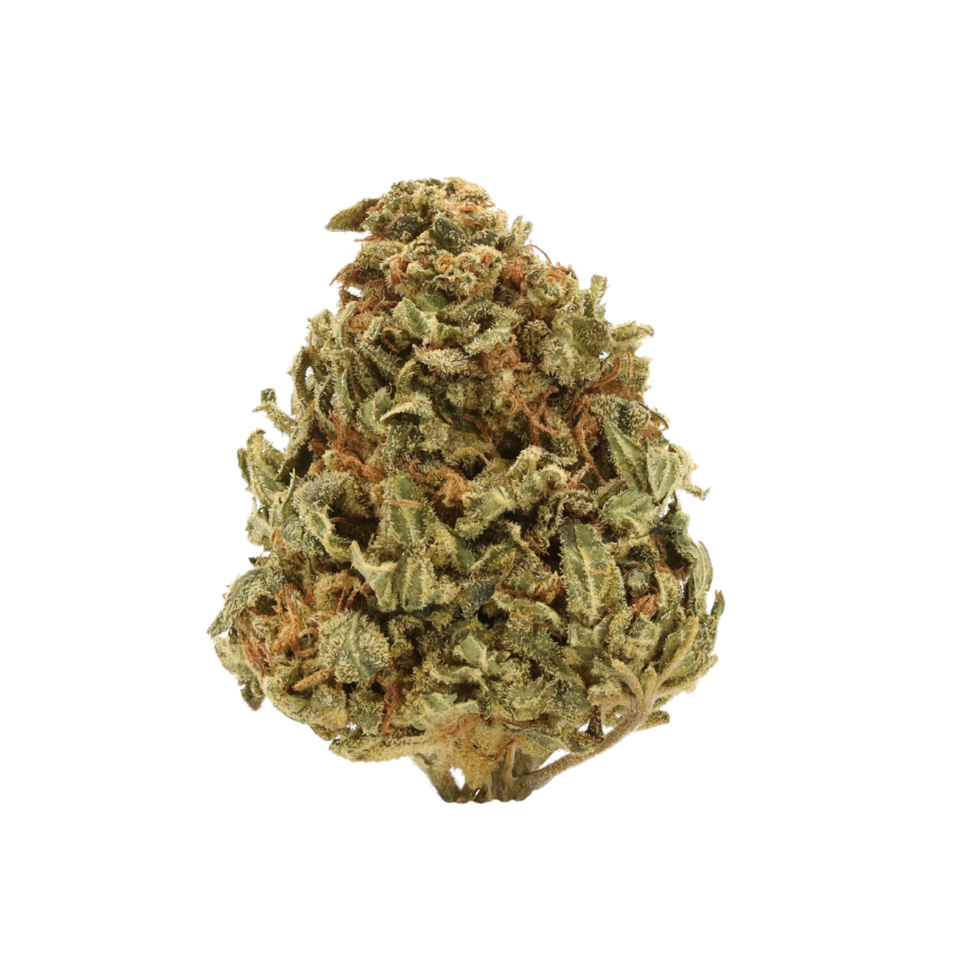 0008 bud