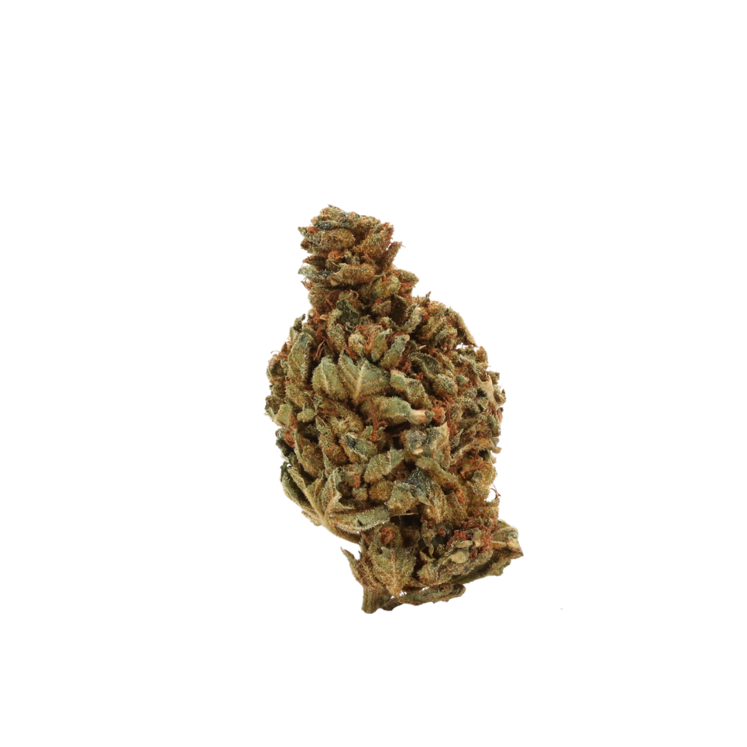 0009 bud