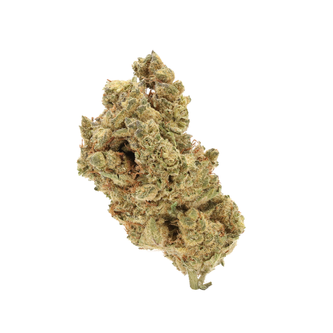 0016 bud