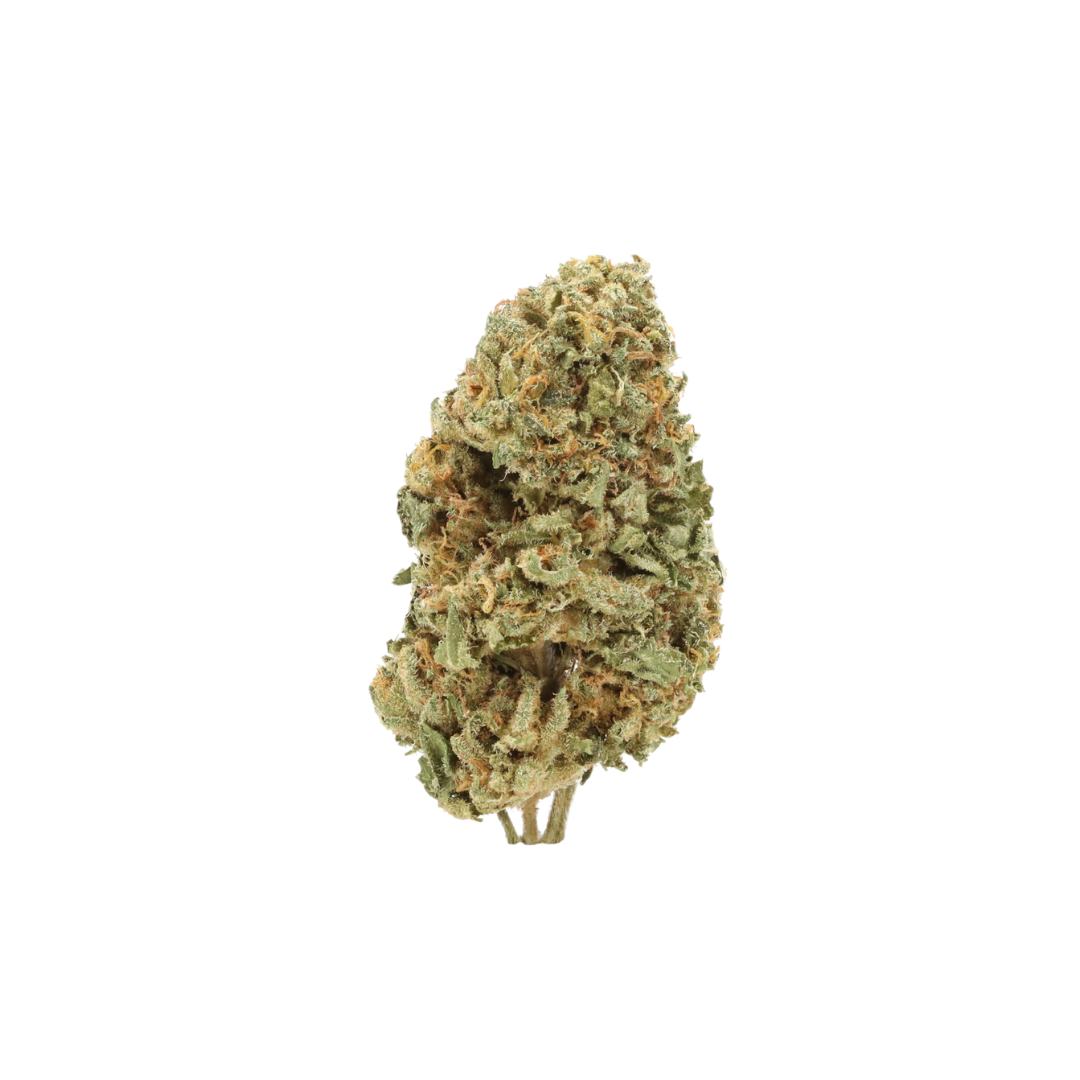 0020 bud