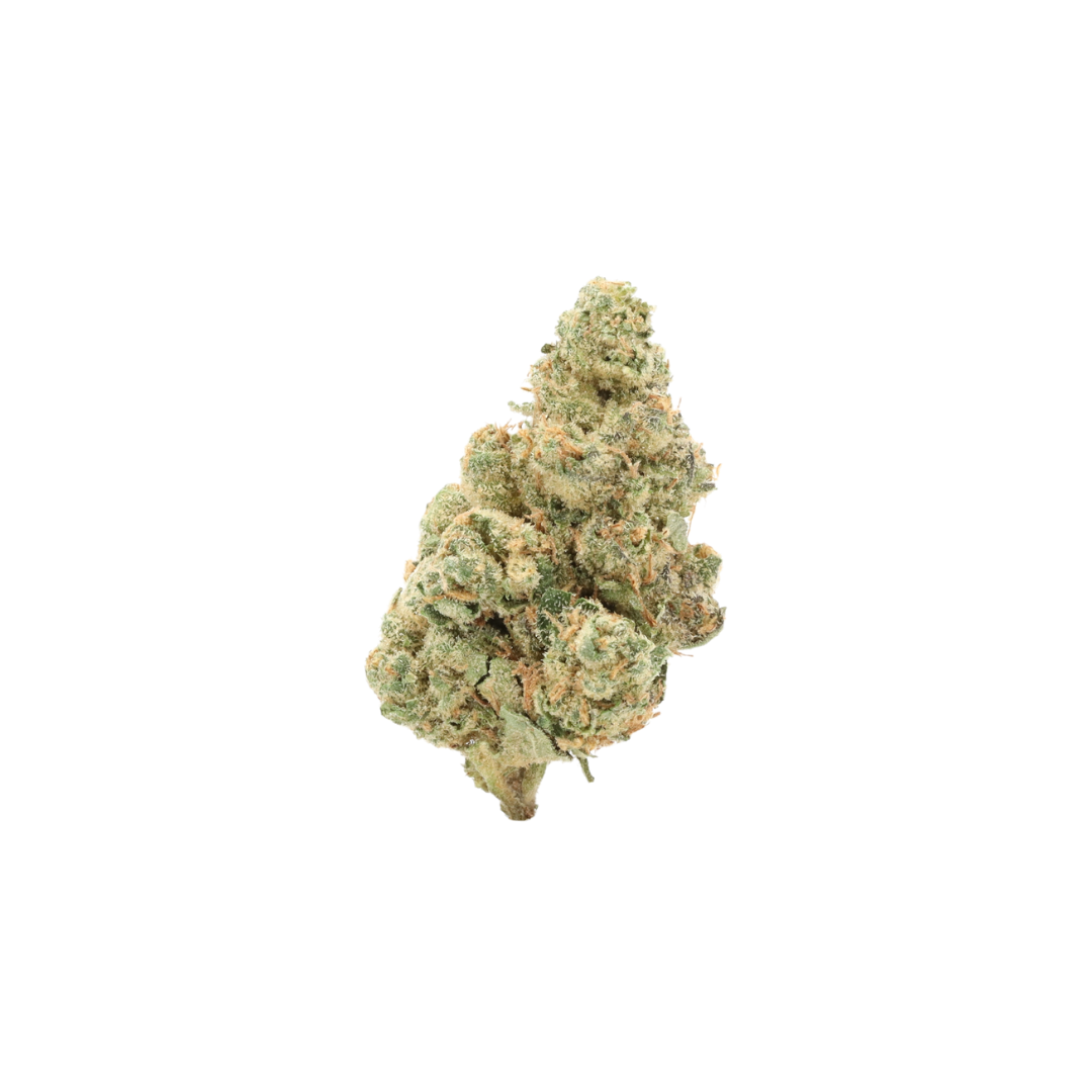 0021 bud