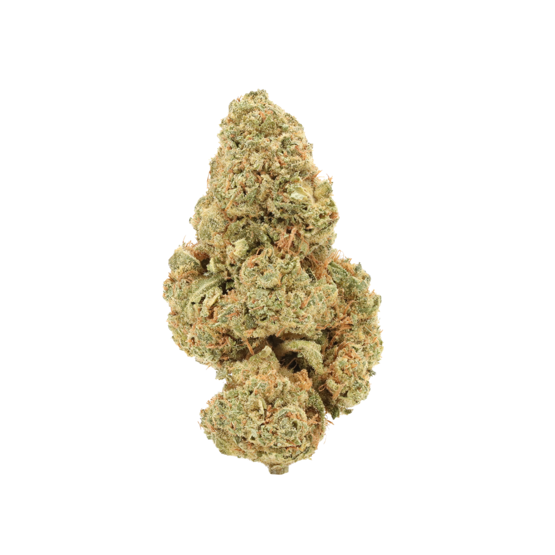 0034 bud