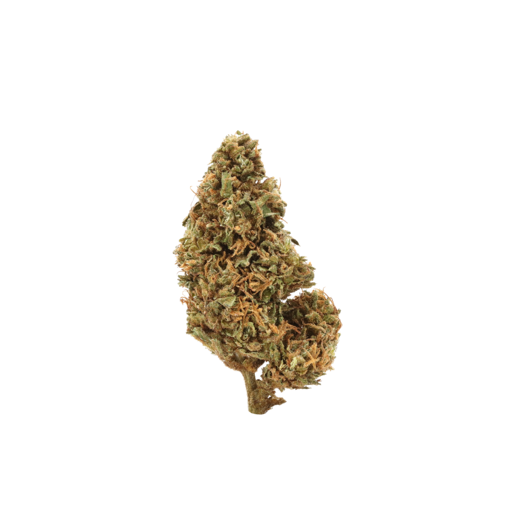 0035 bud
