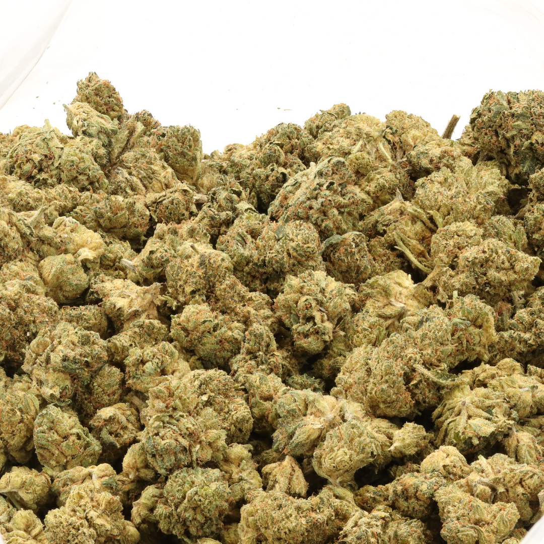 Master Kush - Image 2