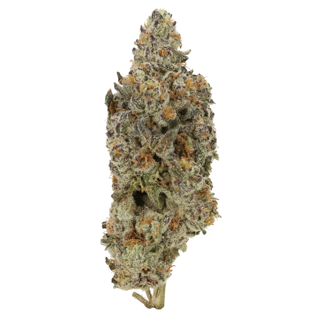 9J (Frumpz)