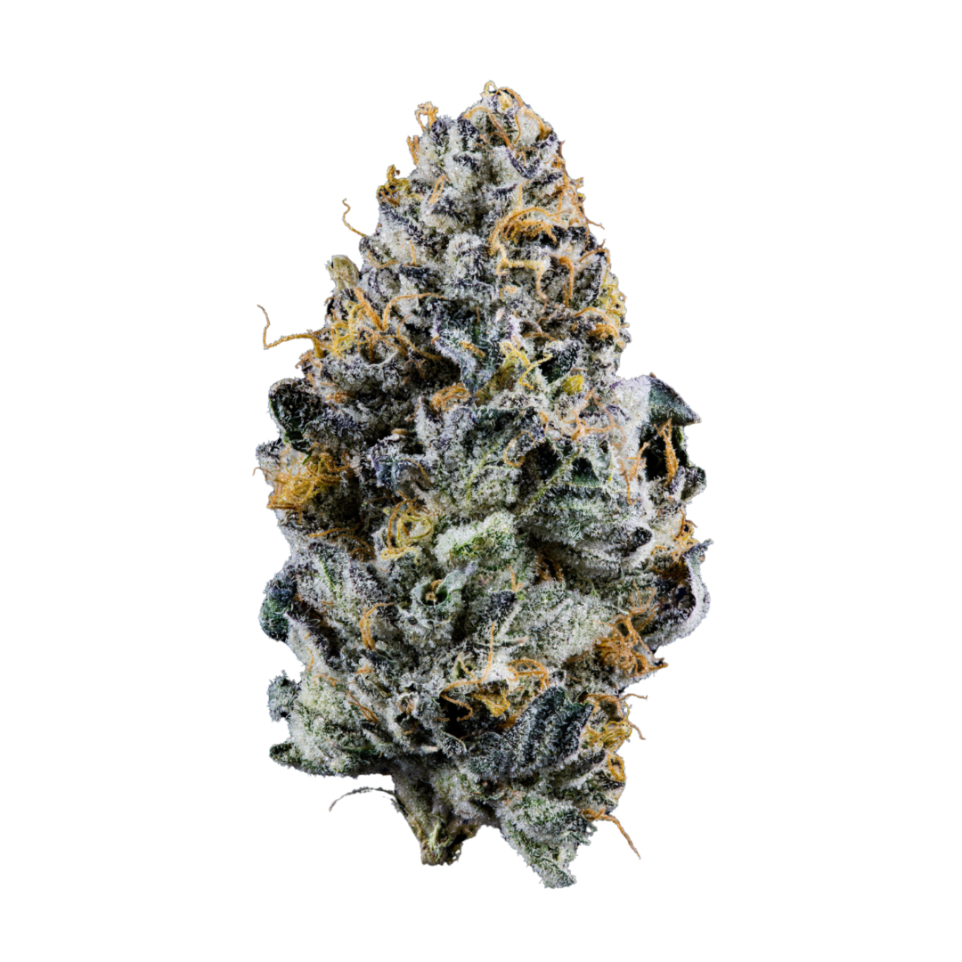 Orange Cookies