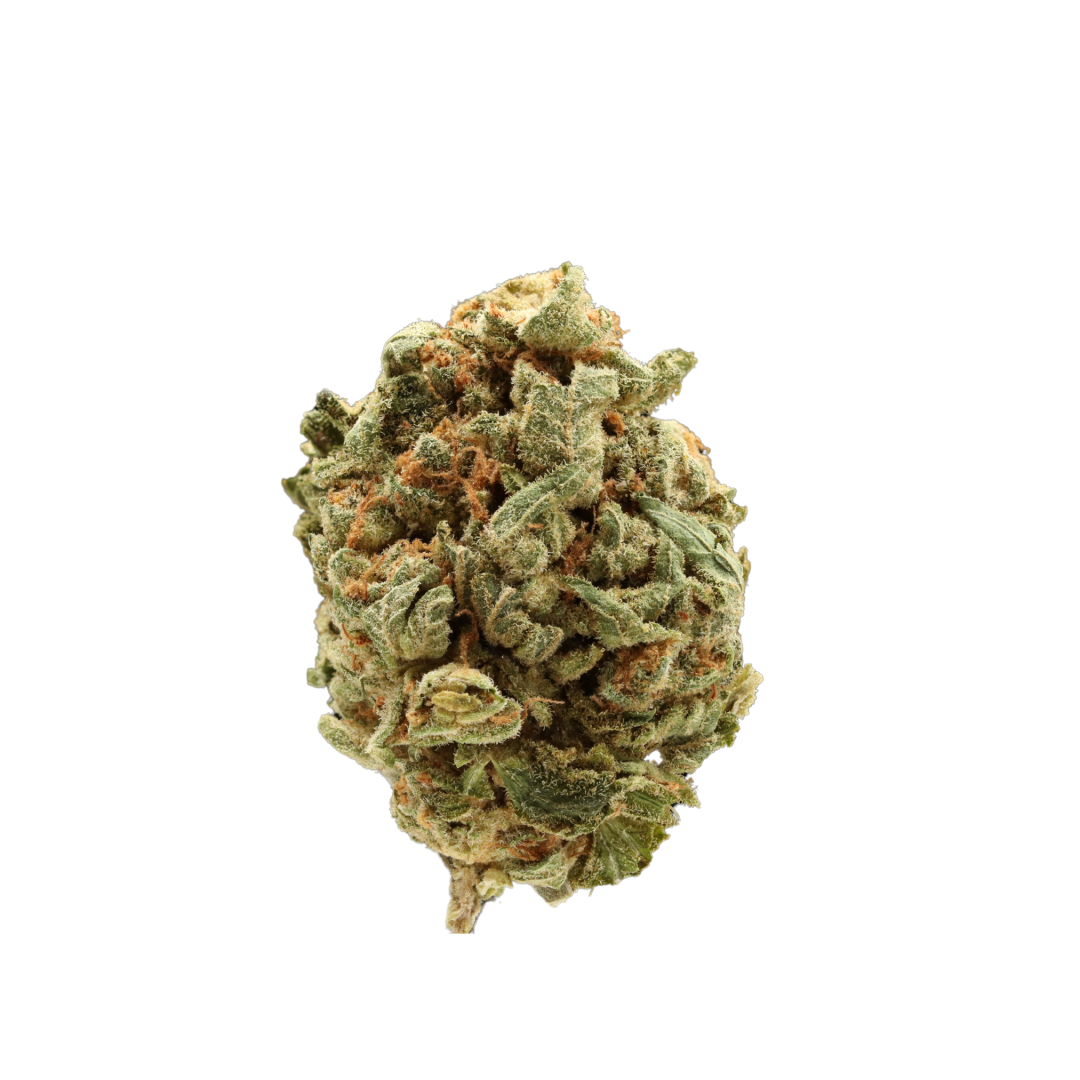 Sugar Black Rose