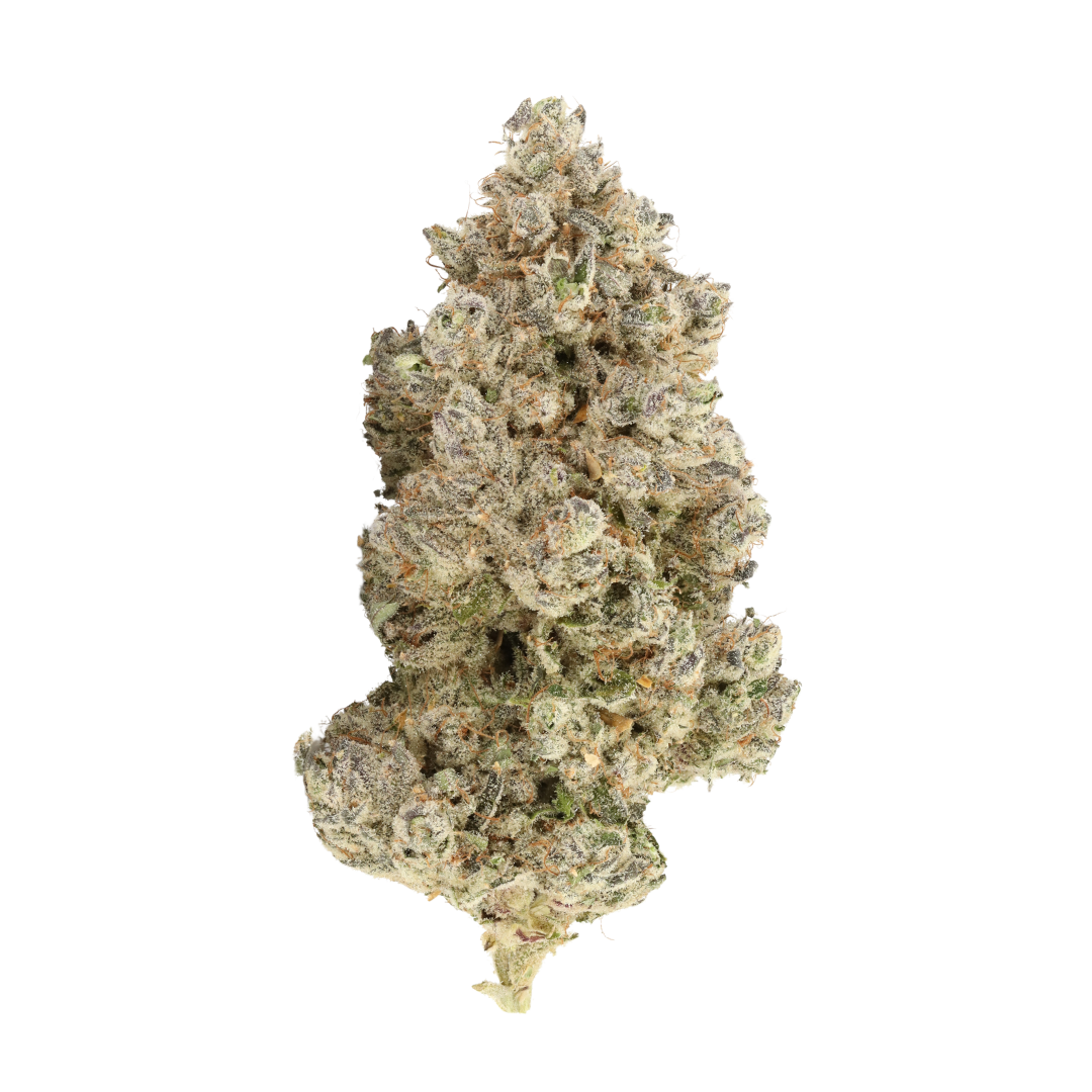 Yoda - Bud