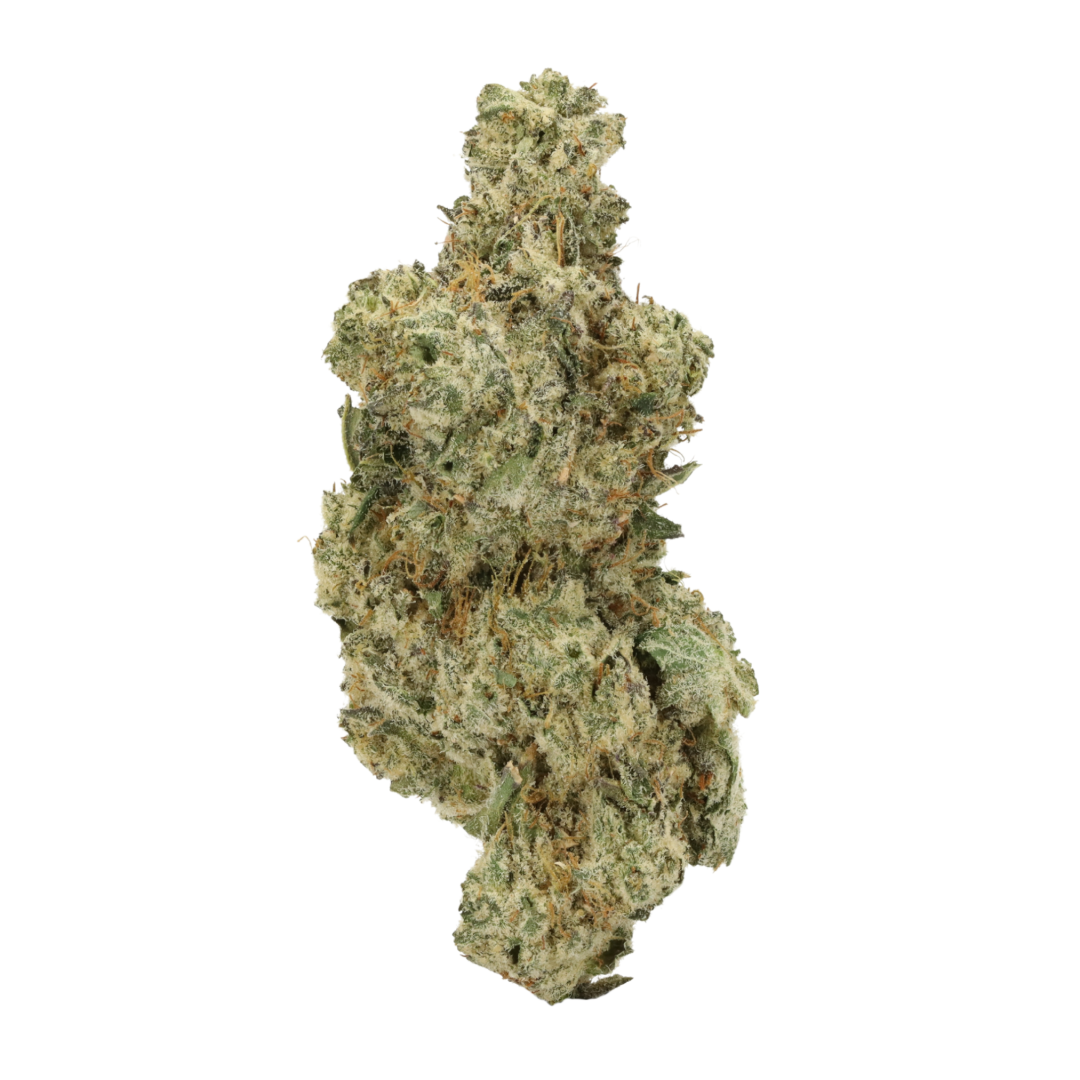 Yoda OG