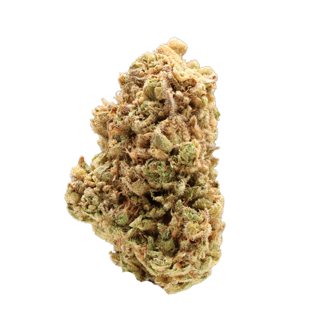 Lindsay OG