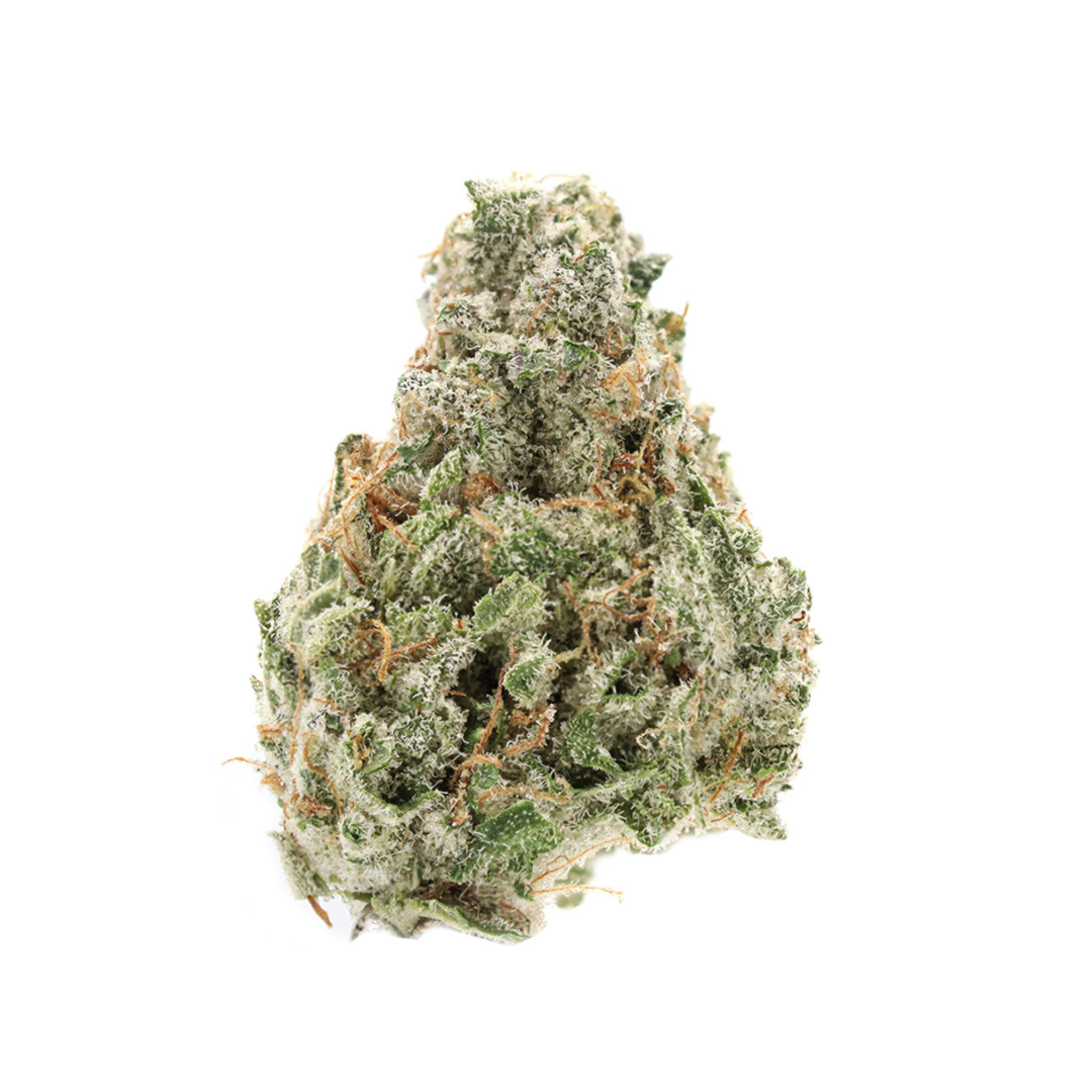 Master Kush