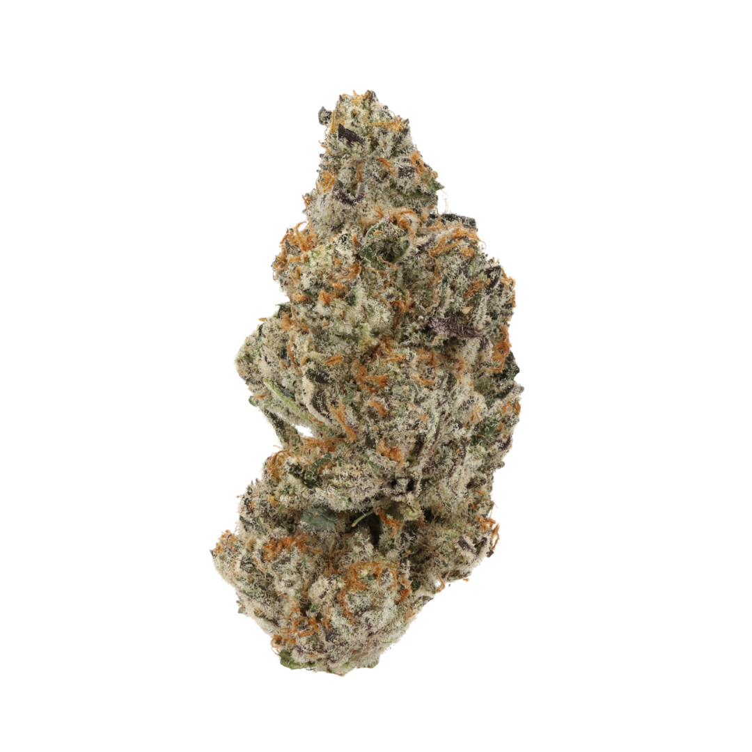 Northern Lights